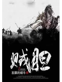 《贼胆》作者：发飙的蜗牛