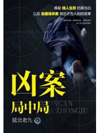 《凶案局中局》作者：延北老九