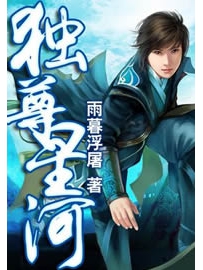 《独尊星河》作者：雨暮浮屠