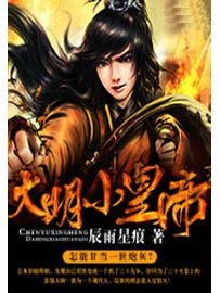 《大明小皇帝》作者：辰雨星痕
