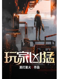 《玩家凶猛》作者：黑灯夏火