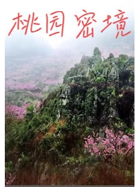 《桃园密境》作者：酸豆角