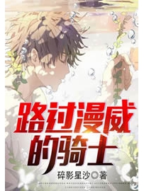 《路过漫威的骑士》作者：碎影星沙