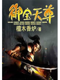 《御宝天尊》 作者：檀木香炉