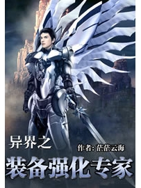 《异界之装备强化专家》作者：茫茫云海