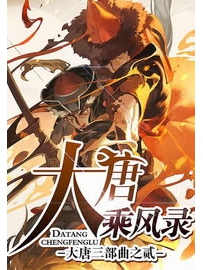 《大唐乘风录》作者：金寻者