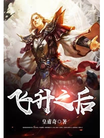 《飞升之后》作者：皇甫奇