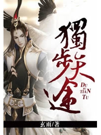 《独步天途》作者：玄雨
