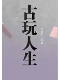 《古玩人生》作者：可大可小