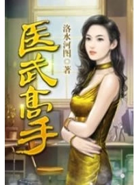 《医武高手》（校对版全本）作者：洛水河图
