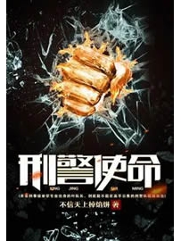 《刑警使命》作者：不信天上掉馅饼