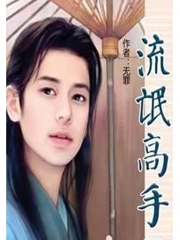 《流氓高手》作者：无罪