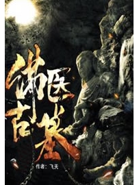 《佛医古墓》作者：飞天