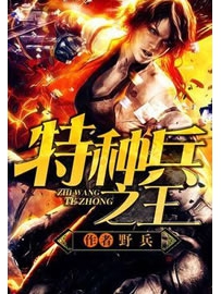 《特种兵之王》作者：野兵