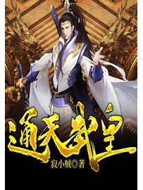 《通天武皇》作者：寂小贼