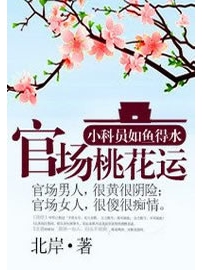 《官场桃花运》作者：北岸