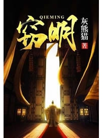 《窃明》作者：灰熊猫