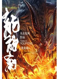 《龙龙龙》作者：天衣有风