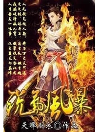 《锐气风暴》作者：天蝉羽衣