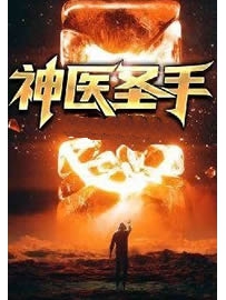 《神医圣手》作者：小小羽