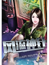 《风流神针》作者：沐轶