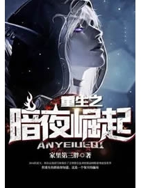 《重生之暗夜崛起》作者：家里第三胖