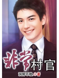 《非常村官》作者：洞房不败