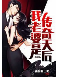 《我老婆是传奇天后》作者：南国月三更