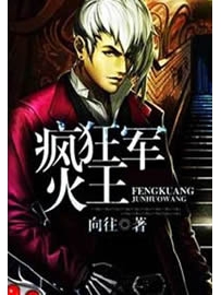 《疯狂军火王》作者：向往