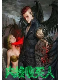 《内线收买人》作者：西贝猫