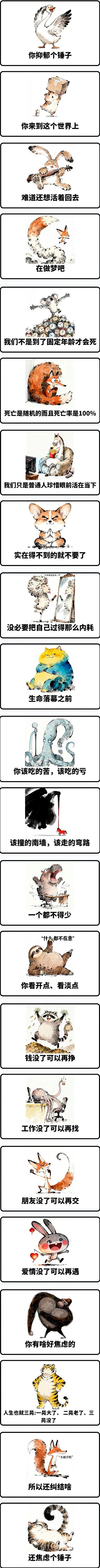 640.jpg