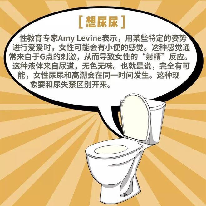 下载 (3).jpg